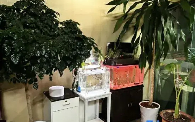 Qingjie Hostel