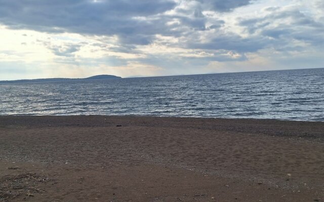 Thassos Apart Otel