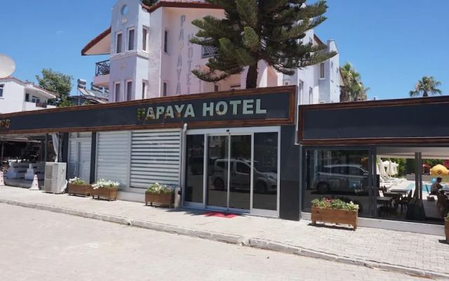 Papaya