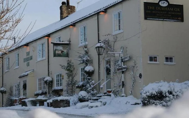 The Durham Ox