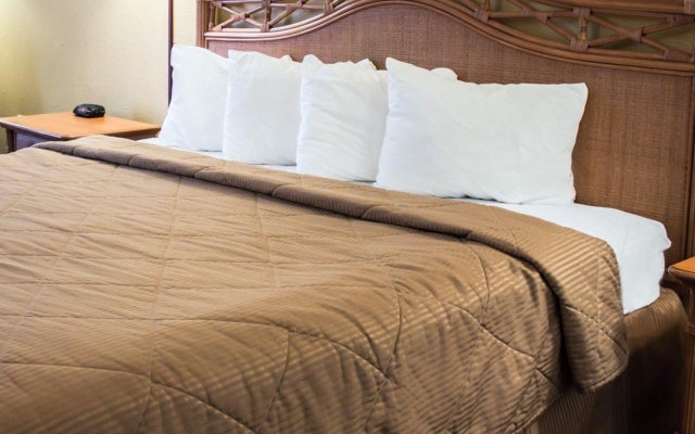 Quality Inn & Suites St Augustine Beach Area