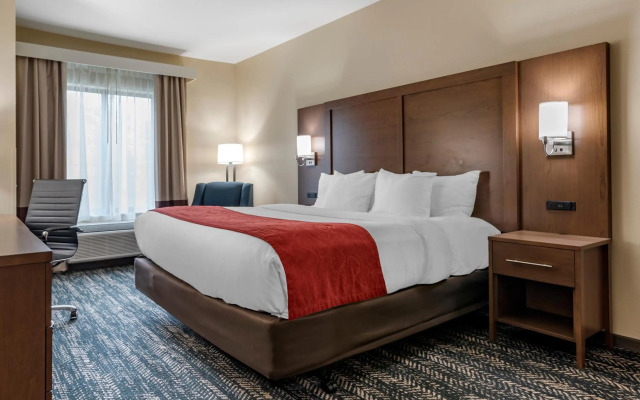 Comfort Inn & Suites Downtown near University