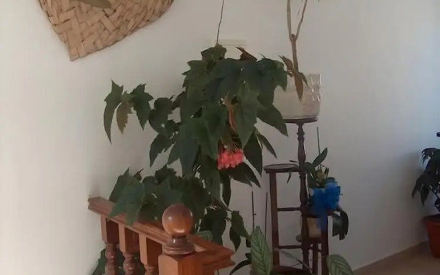 Guesthouse A Lareira