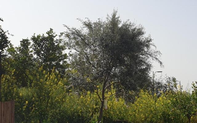 אביב יחידות אירוח