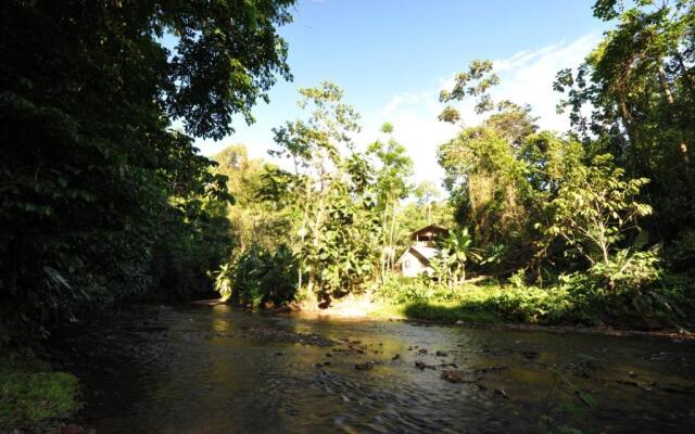 Estación Biológica Tamandua