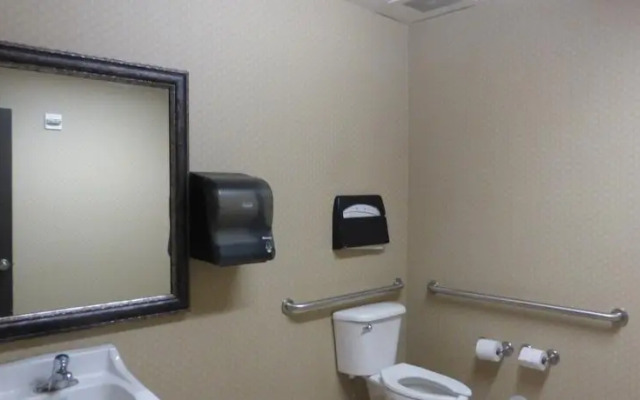 Comfort Inn & Suites Downtown