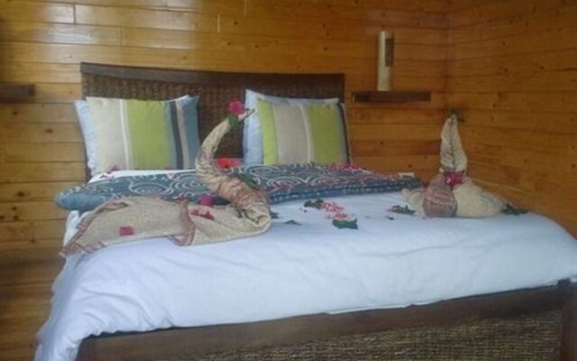 Ecolodge Dar Zitouna