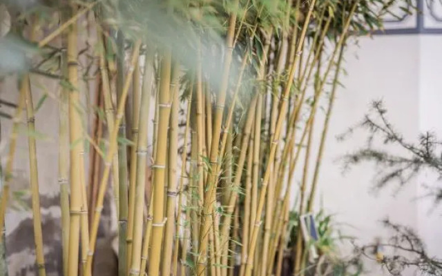 Qianbaidu Boutique Inn