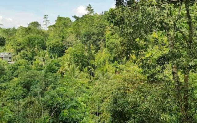 Tea Leaf Retreat Peradeniya