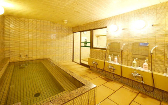 Hotel Fukui Castle