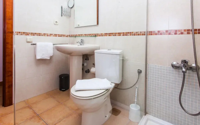 Anahi Home Dracaena 2