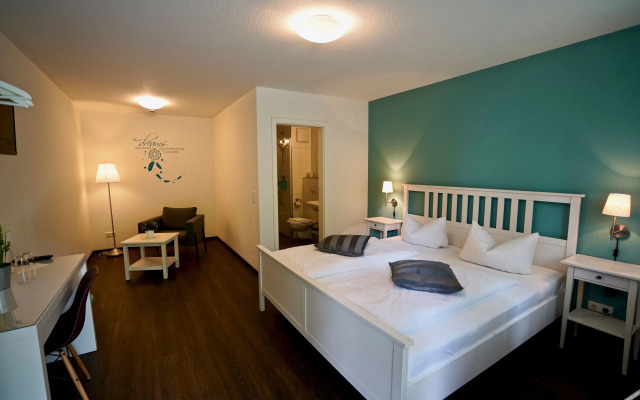 Gaestezimmer am Moeslepark, Freiburg