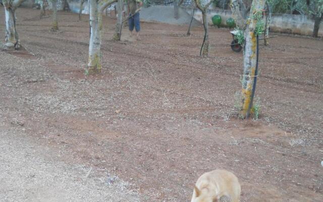 Villa Conte in Salento