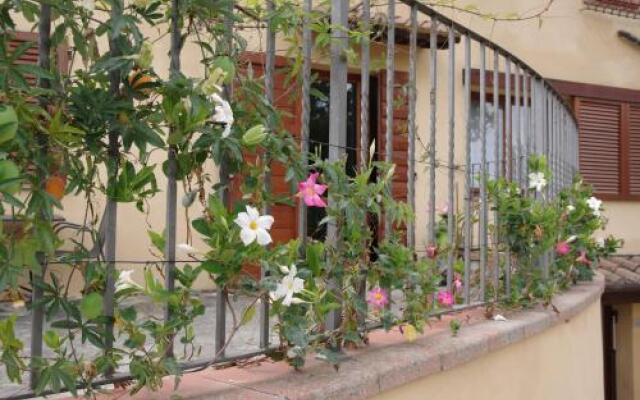 Il Gufo del Chianti
