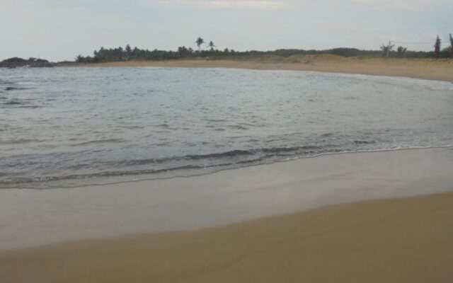 Sandy