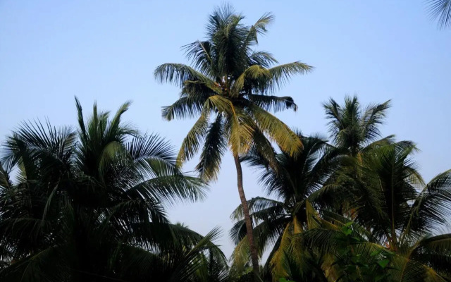 Sai Sneh Holidays Cottage