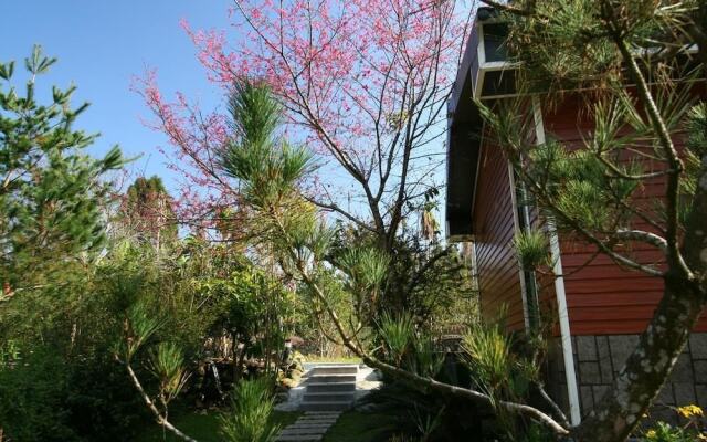 Hong Yang B&B