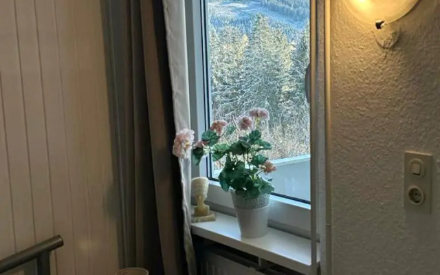 Bocksbergblick Appartement 507 im Ferienpark Hahnenklee Haus 1