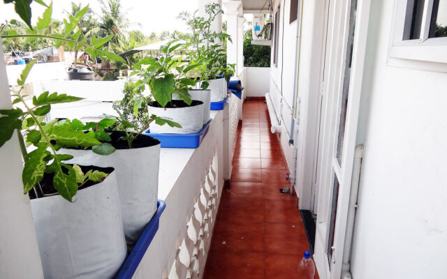 MS Residence (Home Stay)
