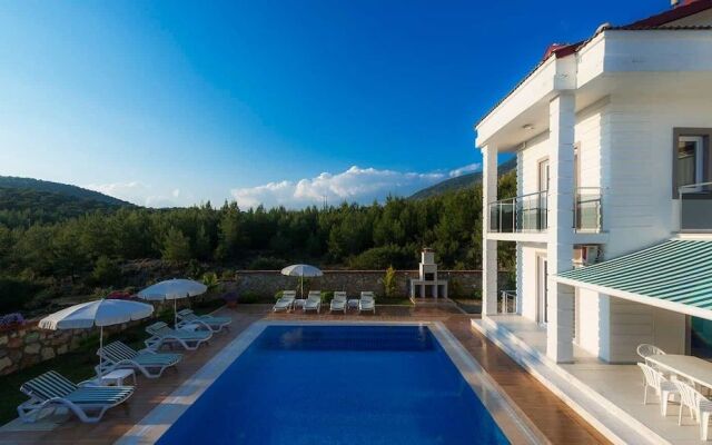 Four Seasons Villa 1