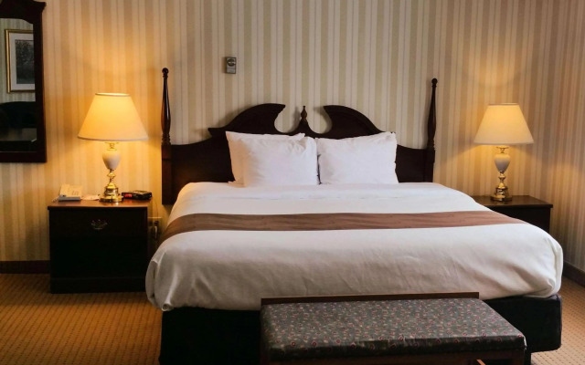 Quality Hotel & Suites