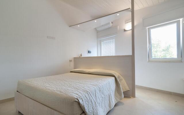 Mono Mercury - Casarano