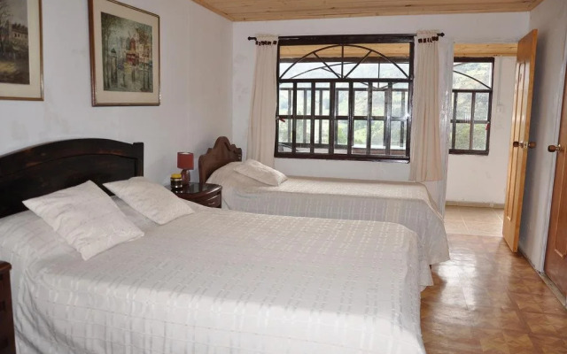 Pinares del Carrizalito