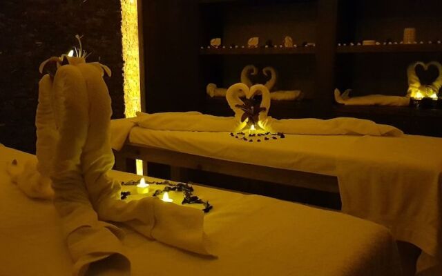 Sarikamis Kayi Snow Otel