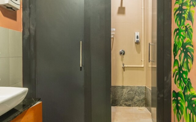 Forrest Hostels