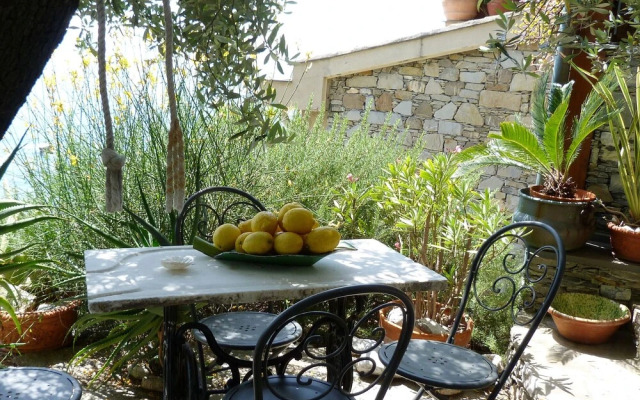 House Limone