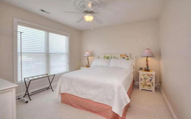 Stranded Indolphinitely