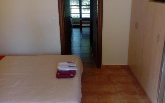 Sithonia Alekos Luxury Experience