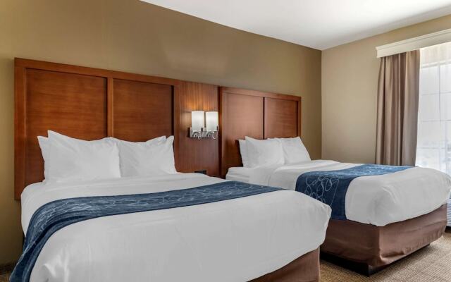 Comfort Suites Buda Austin South