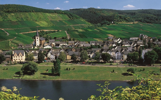 Moselstern Hotel Zum guten Onkel