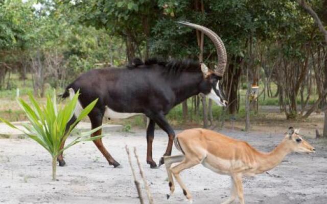 Mokorro Game Ranch and Lodge