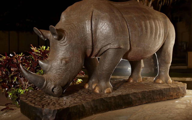 The Rhino Resort Hotel & Spa