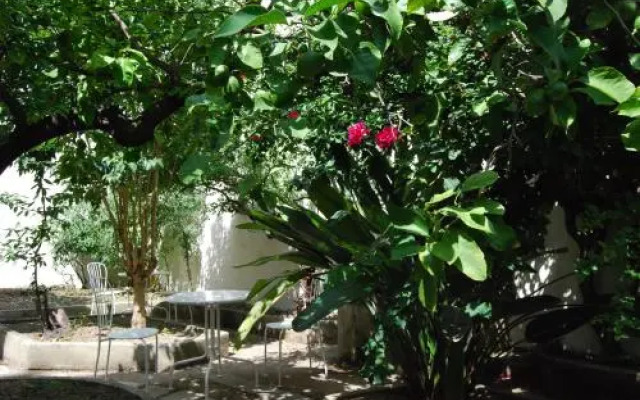 O Jardim Da Tessa