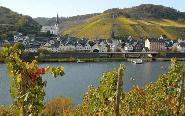 Weingut Rosenbaum