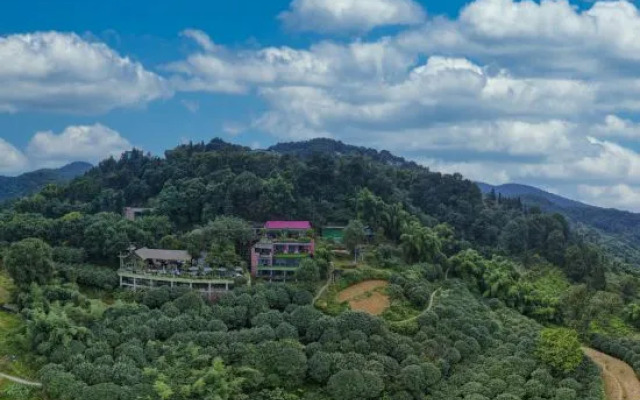 Taole Forest Hostel