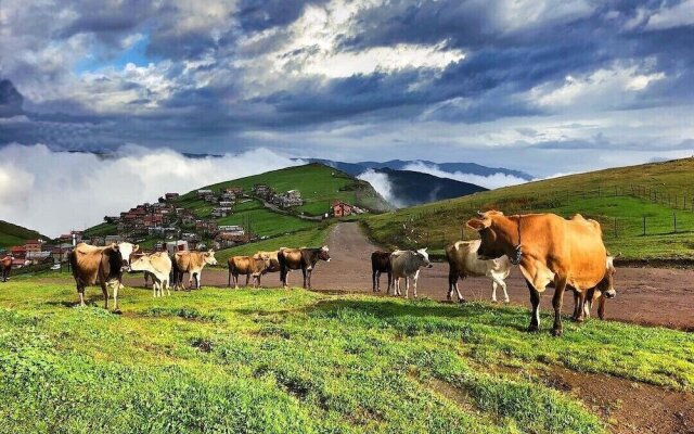 Migroras Otel & Restaurant - Karestel Yaylasi