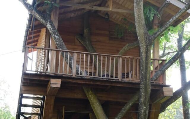 Wilpattu Tree House Hotel