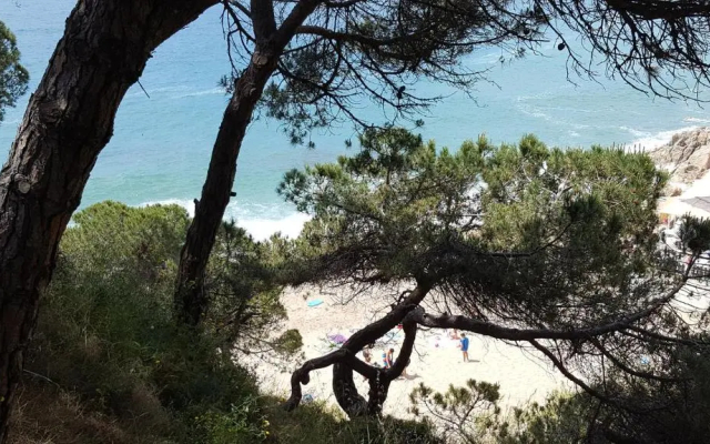 Apartamentos Mediterraneo