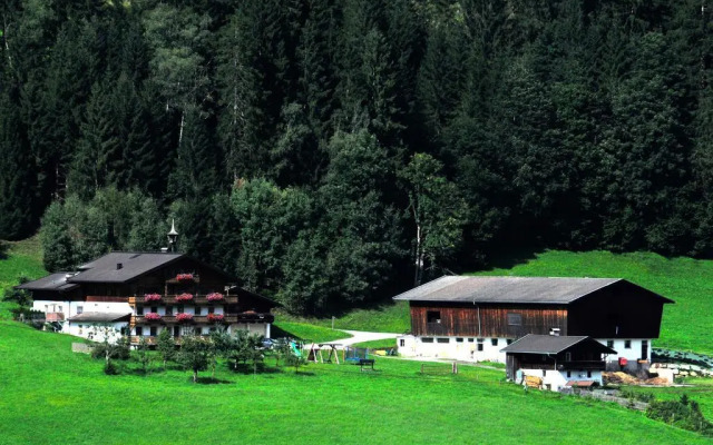 Bauernhof Appartement  Peil