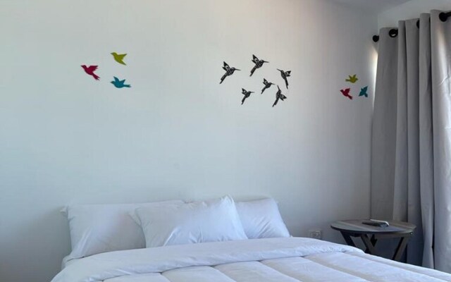 Ps-L2 Habitacion Con Desayuno Isla Baru