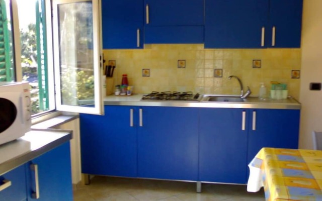 Old Farmhouse Set In A Citrus Grove