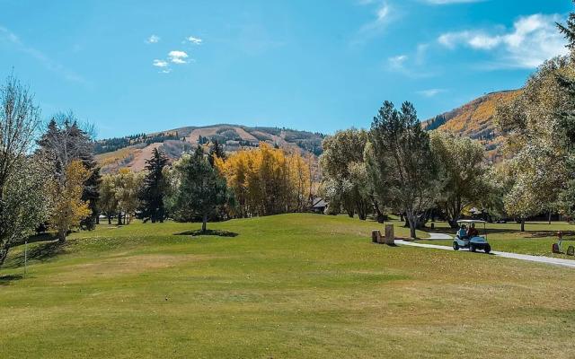 Park Avenue Upgraded 2 Bedroom Condominiums