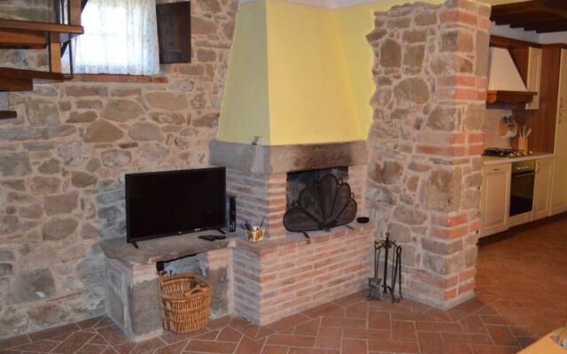 A spasso tra gli ulivi