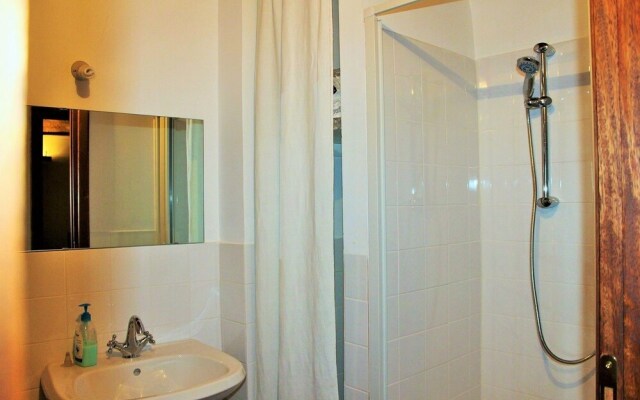 Orso - Parco Nazionale d'Abruzzo