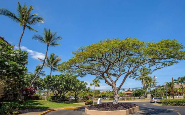 Maui Vista by Coldwell Banker Island Vacations