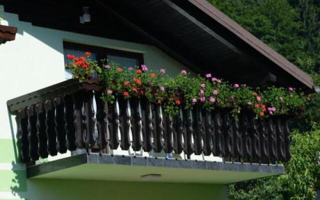 Zeleni apartma Zreče
